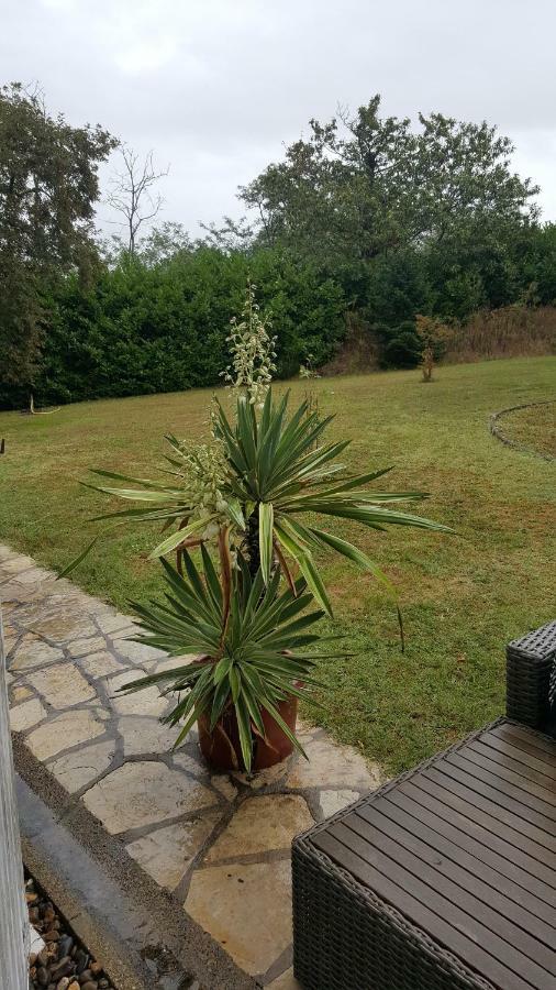 Bed and Breakfast La Belle Chaumiere Bretagne-de-Marsan Экстерьер фото