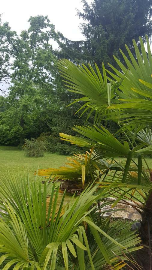 Bed and Breakfast La Belle Chaumiere Bretagne-de-Marsan Экстерьер фото